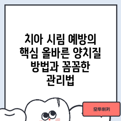 치아 시림 예방의 핵심: 올바른 양치질 방법과 꼼꼼한 관리법