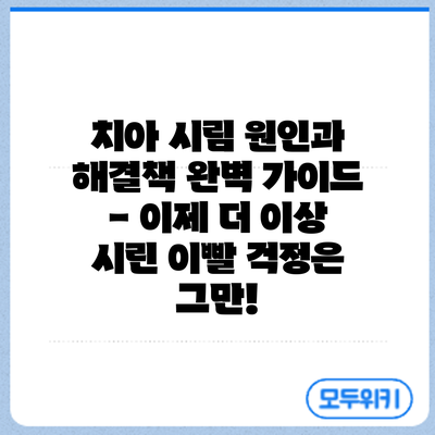 치아 시림 원인과 해결책: 완벽 가이드 - 이제 더 이상 시린 이빨 걱정은 그만!