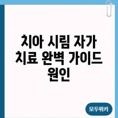 치아 시림 자가 치료 완벽 가이드: 원인