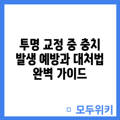 투명 교정 중 충치 발생: 예방과 대처법 완벽 가이드