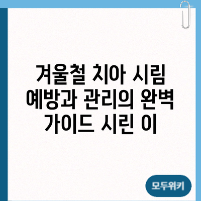 겨울철 치아 시림 예방과 관리의 완벽 가이드: 시린 이