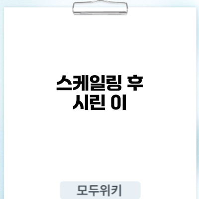 스케일링 후 시린 이