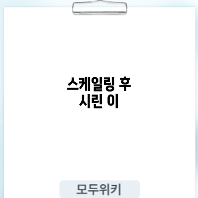 스케일링 후 시린 이