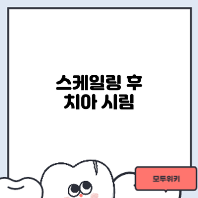 스케일링 후 치아 시림