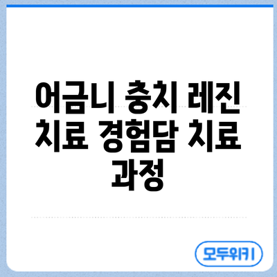 어금니 충치 레진 치료 경험담: 치료 과정