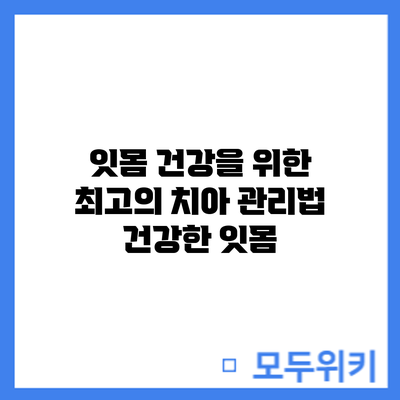 잇몸 건강을 위한 최고의 치아 관리법: 건강한 잇몸