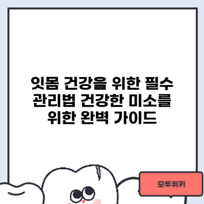 잇몸 건강을 위한 필수 관리법: 건강한 미소를 위한 완벽 가이드