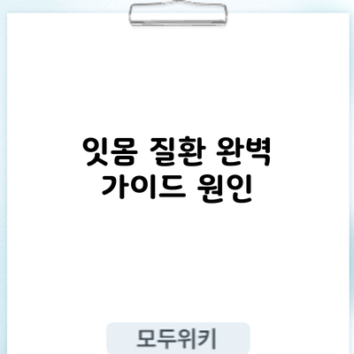 잇몸 질환 완벽 가이드: 원인