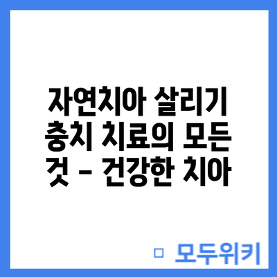 자연치아 살리기: 충치 치료의 모든 것 - 건강한 치아
