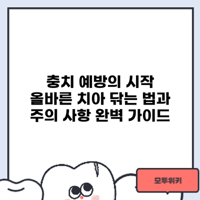 충치 예방의 시작: 올바른 치아 닦는 법과 주의 사항 완벽 가이드