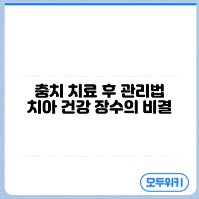 충치 치료 후 관리법: 치아 건강 장수의 비결