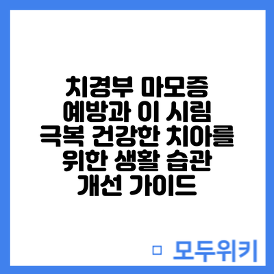 치경부 마모증 예방과 이 시림 극복: 건강한 치아를 위한 생활 습관 개선 가이드