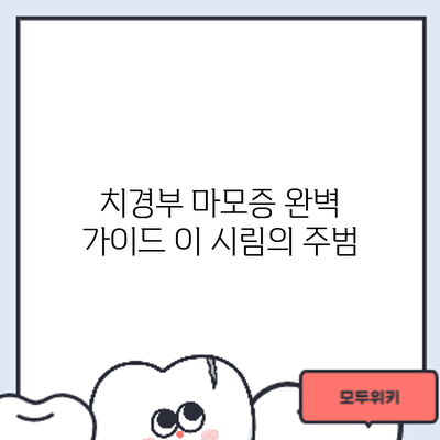 치경부 마모증 완벽 가이드: 이 시림의 주범