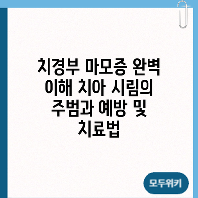 치경부 마모증 완벽 이해: 치아 시림의 주범과 예방 및 치료법