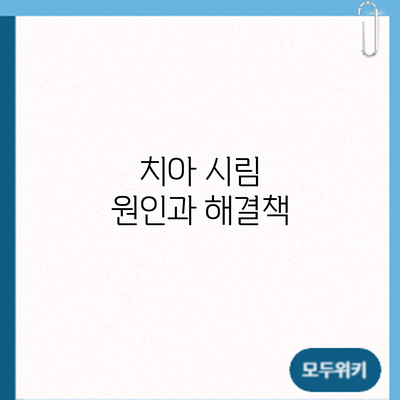 치아 시림? 원인과 해결책