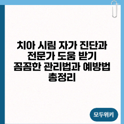 치아 시림 자가 진단과 전문가 도움 받기: 꼼꼼한 관리법과 예방법 총정리