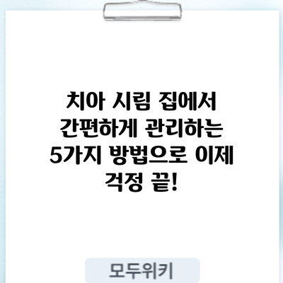 치아 시림? 집에서 간편하게 관리하는 5가지 방법으로 이제 걱정 끝!