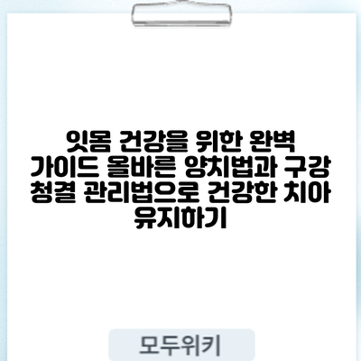 잇몸 건강을 위한 완벽 가이드: 올바른 양치법과 구강 청결 관리법으로 건강한 치아 유지하기