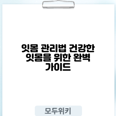 잇몸 관리법: 건강한 잇몸을 위한 완벽 가이드