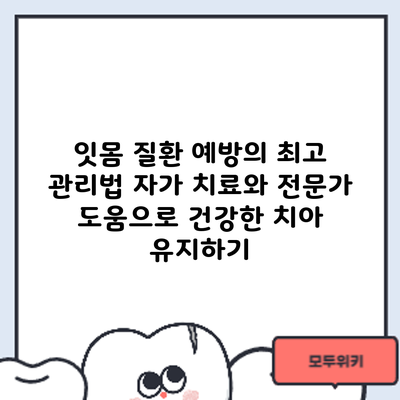 잇몸 질환 예방의 최고 관리법: 자가 치료와 전문가 도움으로 건강한 치아 유지하기