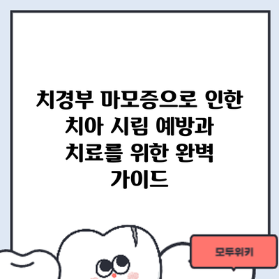 치경부 마모증으로 인한 치아 시림: 예방과 치료를 위한 완벽 가이드