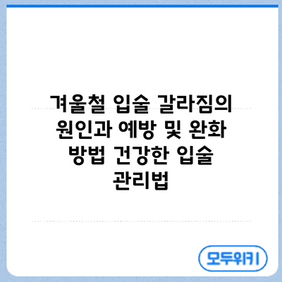 겨울철 입술 갈라짐의 원인과 예방 및 완화 방법: 건강한 입술 관리법