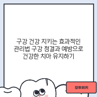 구강 건강 지키는 효과적인 관리법: 구강 청결과 예방으로 건강한 치아 유지하기