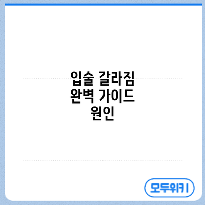 입술 갈라짐 완벽 가이드: 원인