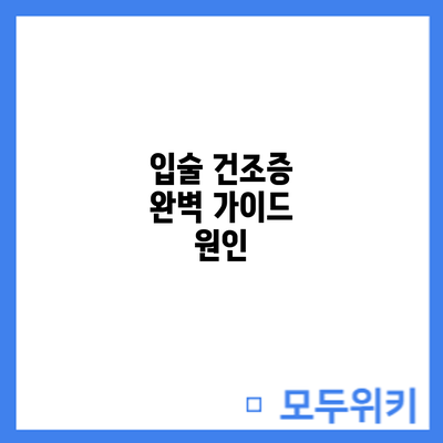입술 건조증 완벽 가이드: 원인