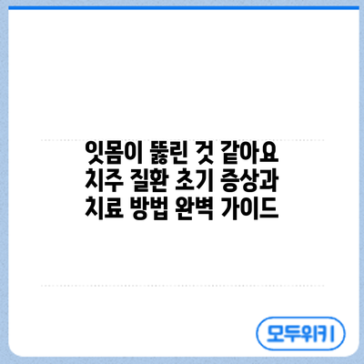 잇몸이 뚫린 것 같아요? 치주 질환 초기 증상과 치료 방법 완벽 가이드