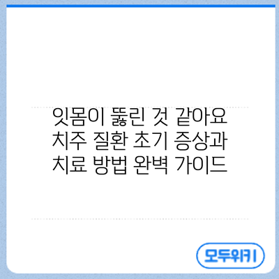 잇몸이 뚫린 것 같아요? 치주 질환 초기 증상과 치료 방법 완벽 가이드
