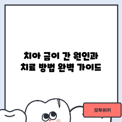 치아 금이 간 원인과 치료 방법: 완벽 가이드