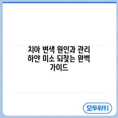 치아 변색 원인과 관리: 하얀 미소 되찾는 완벽 가이드