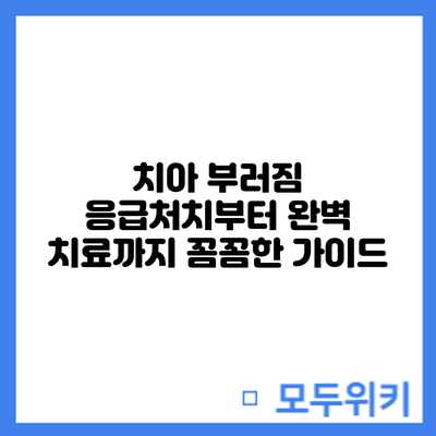 치아 부러짐 응급처치부터 완벽 치료까지: 꼼꼼한 가이드