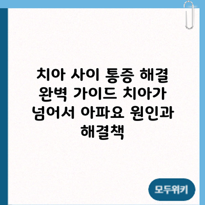 치아 사이 통증 해결 완벽 가이드: 치아가 넘어서 아파요? 원인과 해결책