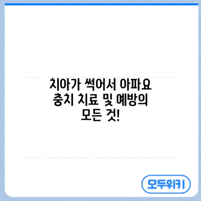 치아가 썩어서 아파요? 충치 치료 및 예방의 모든 것!