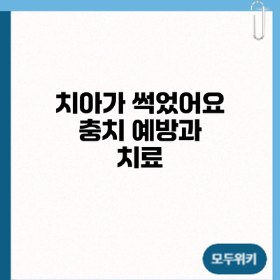 치아가 썩었어요? 충치 예방과 치료