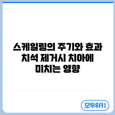 스케일링의 주기와 효과: 치석 제거시 치아에 미치는 영향