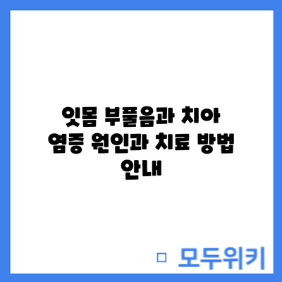 잇몸 부풀음과 치아 염증: 원인과 치료 방법 안내