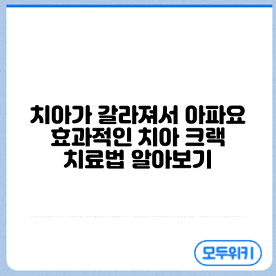 치아가 갈라져서 아파요? 효과적인 치아 크랙 치료법 알아보기