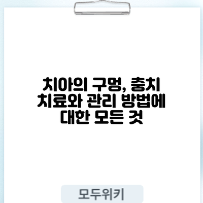 치아의 구멍, 충치 치료와 관리 방법에 대한 모든 것