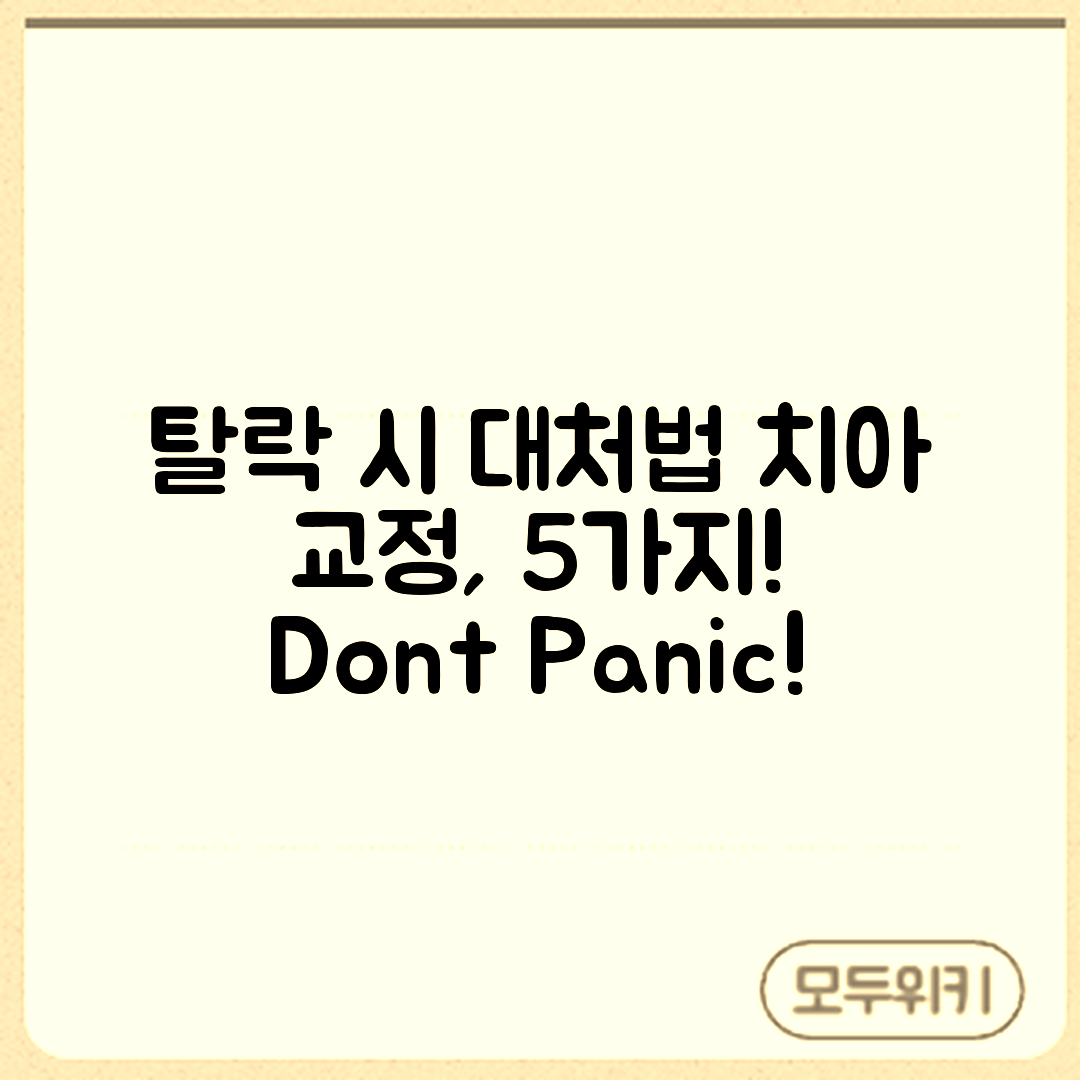 치아 교정 장치 탈락 시 대처법 5가지